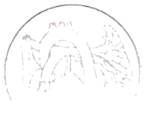 骨髓细胞学检查