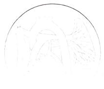 电阻抗断层显像