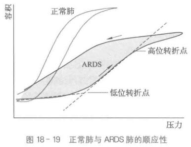 呼吸力学和呼吸功监测